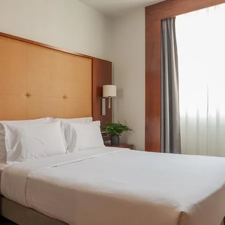 多姆卡洛斯自由酒店