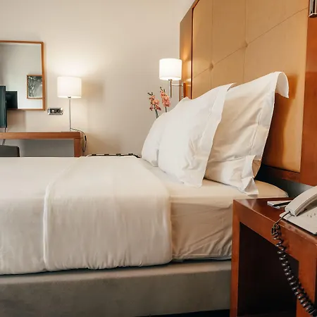 多姆卡洛斯自由酒店 3*